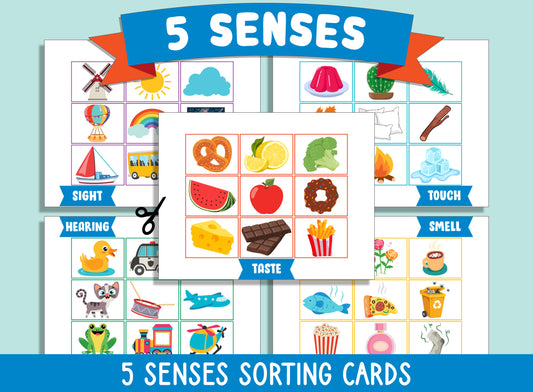 Five Senses Sorting Set for Preschool, Pre-K, and Kindergarten: Includes Cards, Mat, Pocket Chart, PDF File, and Instant Download
