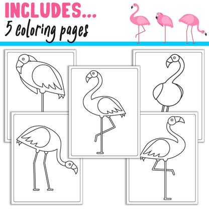 How To Draw a Cute Flamingo, Directed Drawing Step by Step Tutorial, Includes 5 Coloring Pages, PDF File, Instant Download