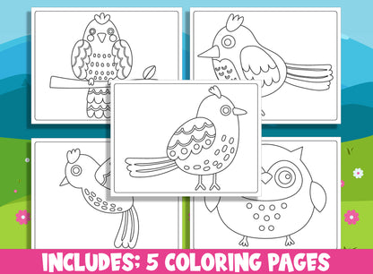 Learn How to Draw a Cute Bird and Owl, Directed Drawing Step by Step Tutorial, Includes 5 Coloring Pages, PDF File, Instant Download