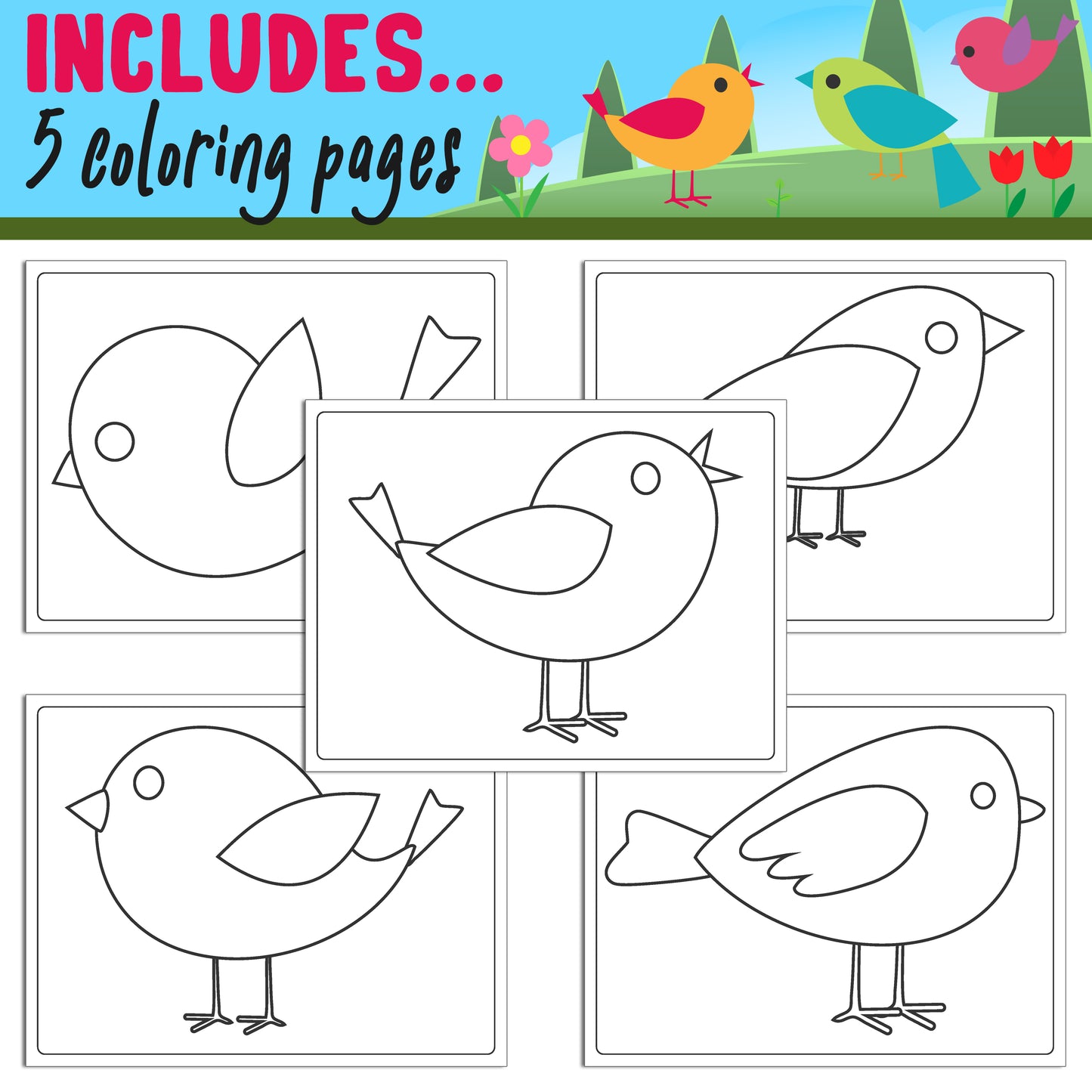 How to Draw a Simple Bird for Kids, Directed Drawing Step by Step Tutorial, Includes 5 Coloring Pages, PDF File, Instant Download