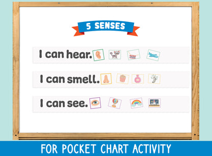 Five Senses Sorting Set for Preschool, Pre-K, and Kindergarten: Includes Cards, Mat, Pocket Chart, PDF File, and Instant Download
