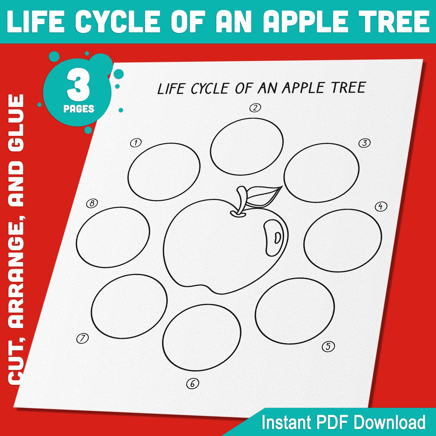 Hands-On Apple Tree Life Cycle Activity: Fun Cut and Glue Project for Kids’ Science Learning, 8 Plant Growth Stages, 3-Page PDF, Instant Download