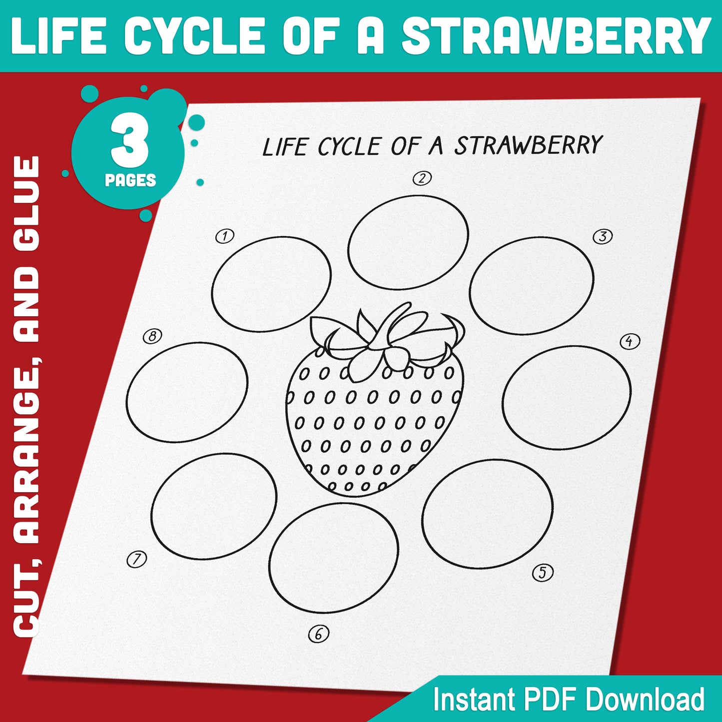 Explore the Life Cycle of a Strawberry: Fun Cut, Arrange, and Glue Activity for Kids, 8 Stages, 3 Printable Pages, Instant Download