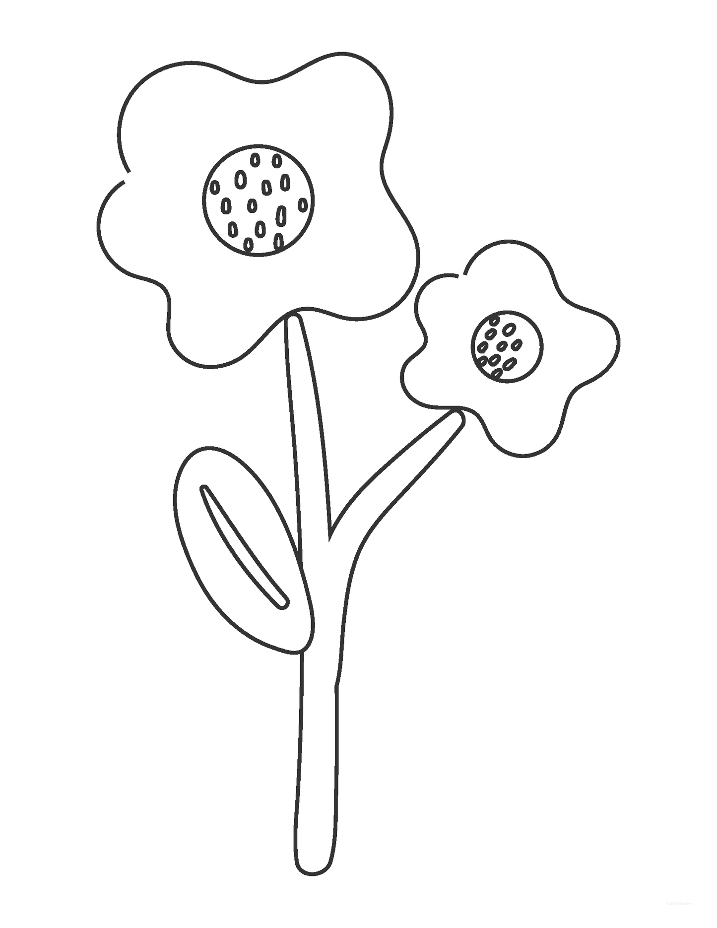 Free Spring Flower Coloring Sheets
