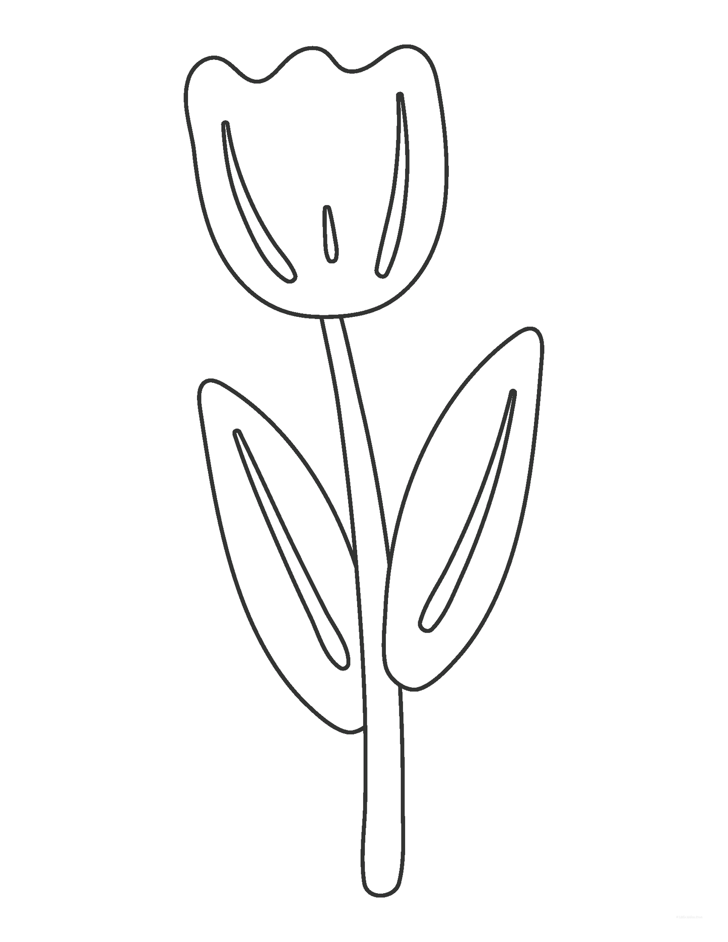 Free Spring Flower Coloring Sheets