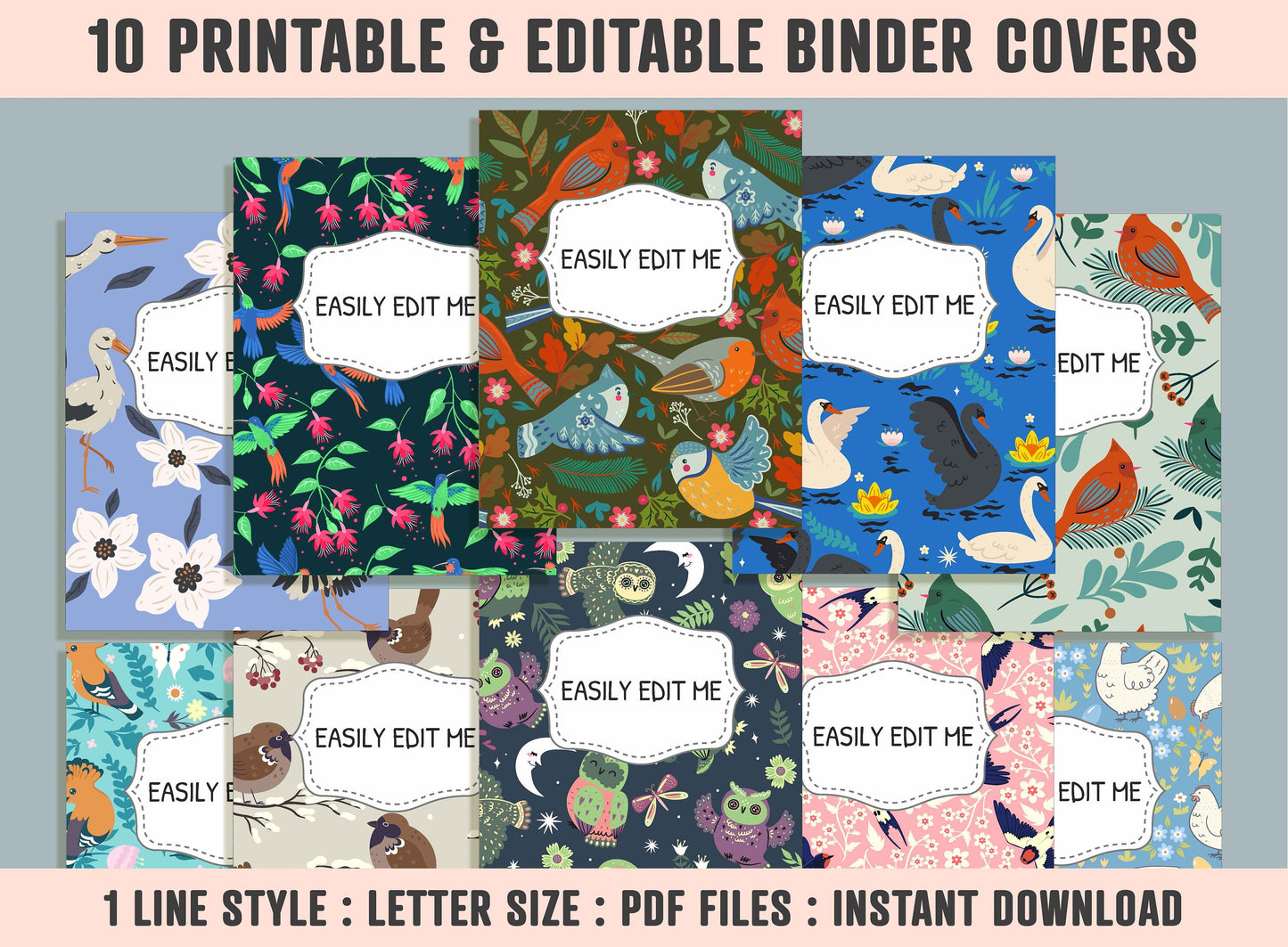 Various Birds Binder Cover, 10 Printable/Editable Binder Covers + Spines, Bird Planner Template, Teacher/School Binder Labels/Inserts