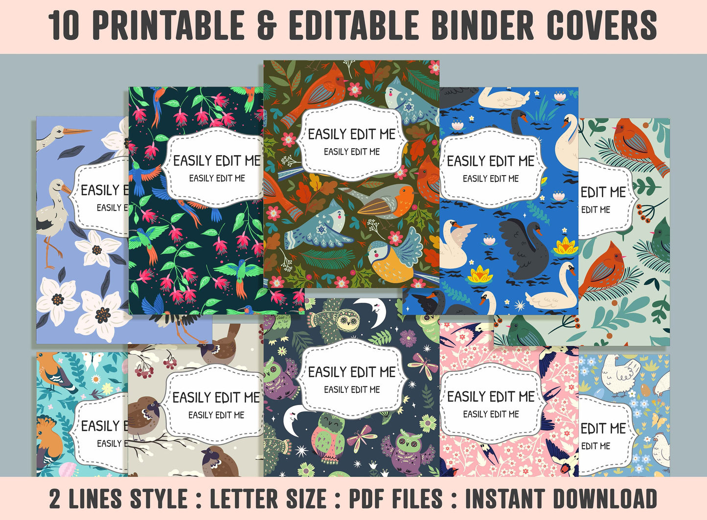 Various Birds Binder Cover, 10 Printable/Editable Binder Covers + Spines, Bird Planner Template, Teacher/School Binder Labels/Inserts