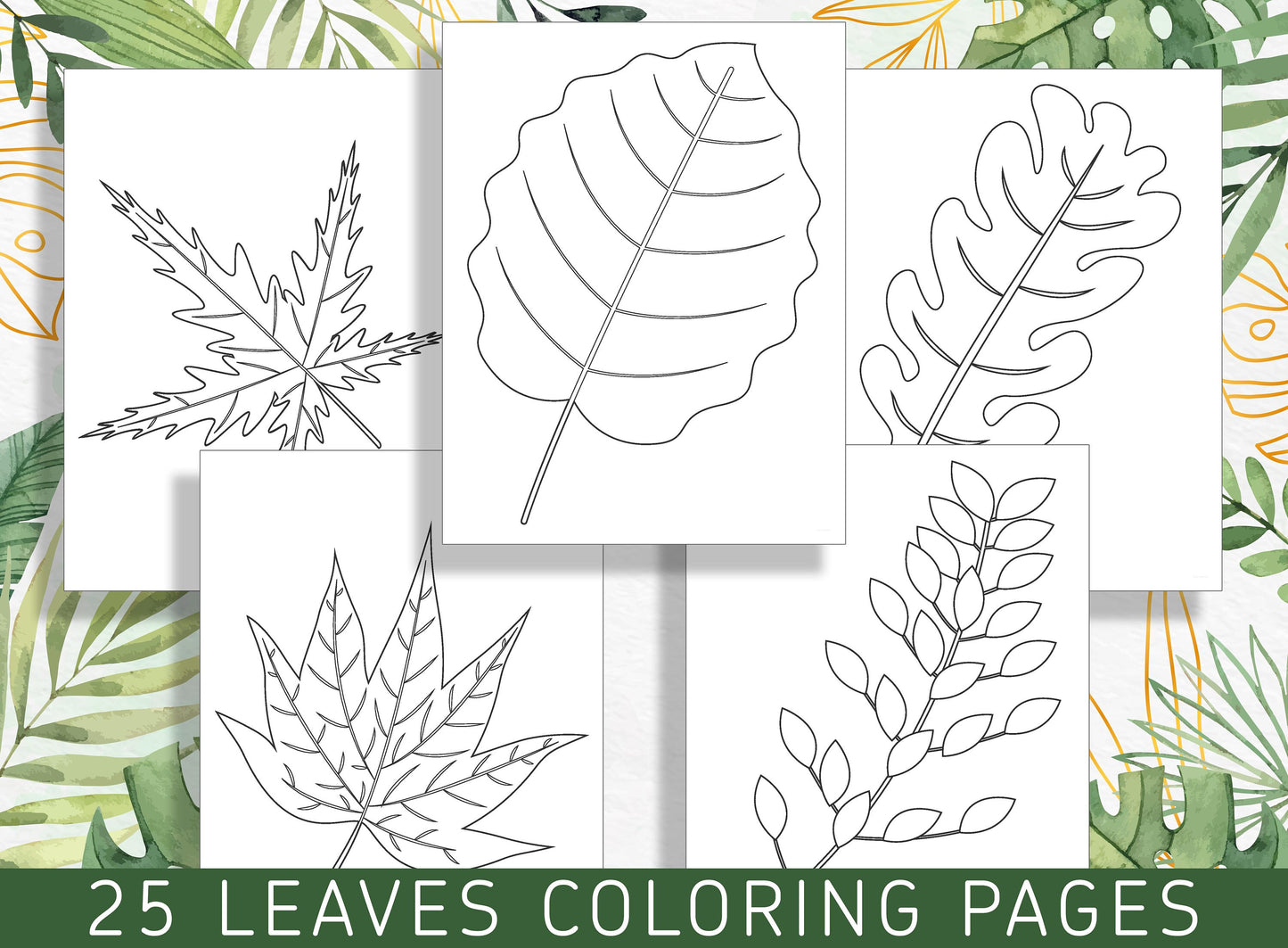 Escape to Nature: 25 Exquisite Leaf Coloring Pages for Stress Relief and Relaxation, PDF File, Instant Download