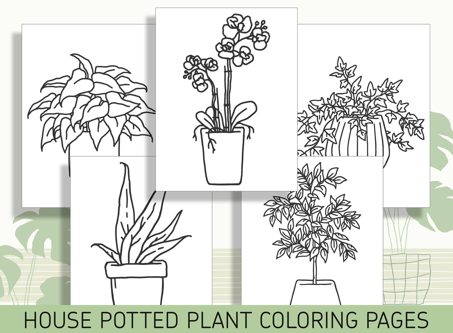15 Beautiful House Potted Plants Coloring Pages: Bring Nature Indoors, PDF File, Instant Download