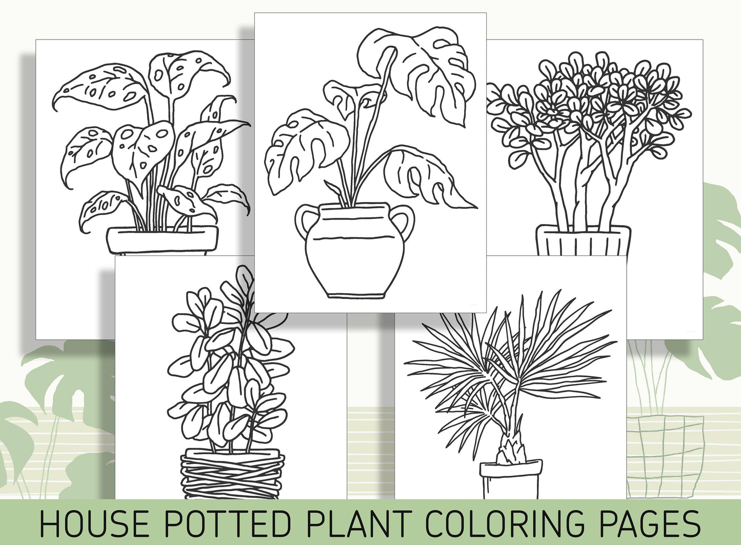 15 Beautiful House Potted Plants Coloring Pages: Bring Nature Indoors, PDF File, Instant Download