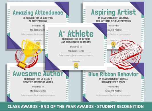 Editable End of School Year Awards, End of the Year Awards, Student Recognition, PDF File, Instant Download