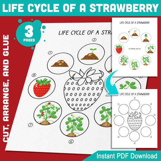 Explore the Life Cycle of a Strawberry: Fun Cut, Arrange, and Glue Activity for Kids, 8 Stages, 3 Printable Pages, Instant Download