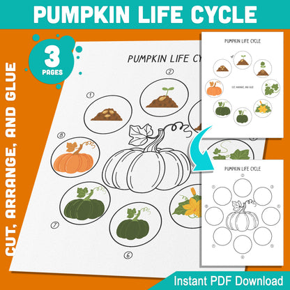 Pumpkin Life Cycle Learning Activity: Cut, Arrange, and Glue the 8 Stages of Plant Growth for Fun Hands-On Learning, 3 Printable Pages, Instant PDF Download