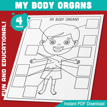 My Body Organs Activity for Preschool & Pre-K: Fun Color, Cut & Glue Projects for Boys & Girls – Creative, Engaging Learning Tools