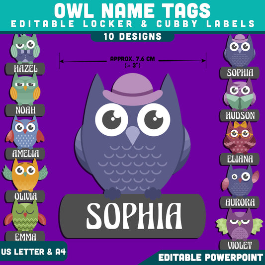Owl Editable Name Tags, PowerPoint Classroom Labels, Locker & Cubby Organization, 10 Designs, 6 Tags Per Page, School Decor, US Letter, A4