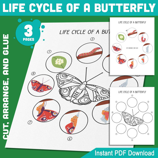 Explore the Life Cycle of a Butterfly: Fun 8-Stage Cut, Arrange, and Glue Metamorphosis Activity for Kids, Ideal for Learning and Play, 3 Printable Pages, PDF Instant Download