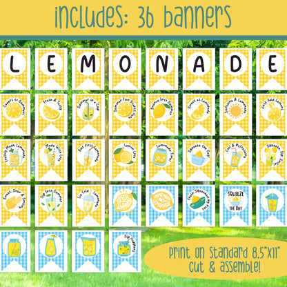 Lemonade Stand Dramatic Play & Business Project, Pretend Play Entrepreneurship Bundle, Summer Classroom Activity