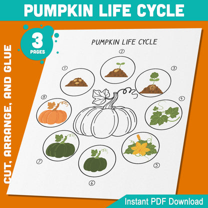 Pumpkin Life Cycle Learning Activity: Cut, Arrange, and Glue the 8 Stages of Plant Growth for Fun Hands-On Learning, 3 Printable Pages, Instant PDF Download