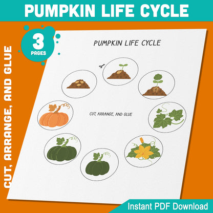 Pumpkin Life Cycle Learning Activity: Cut, Arrange, and Glue the 8 Stages of Plant Growth for Fun Hands-On Learning, 3 Printable Pages, Instant PDF Download