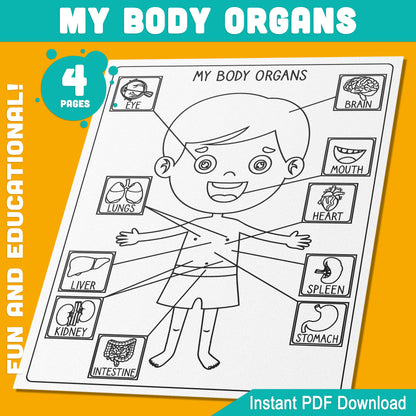 My Body Organs Activity for Preschool & Pre-K: Fun Color, Cut & Glue Projects for Boys & Girls – Creative, Engaging Learning Tools