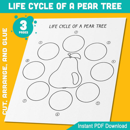 Life Cycle of a Pear Tree Activity: Cut, Arrange, and Glue 8 Stages of Plant Growth for Kids, 3 Pages PDF, Instant Download