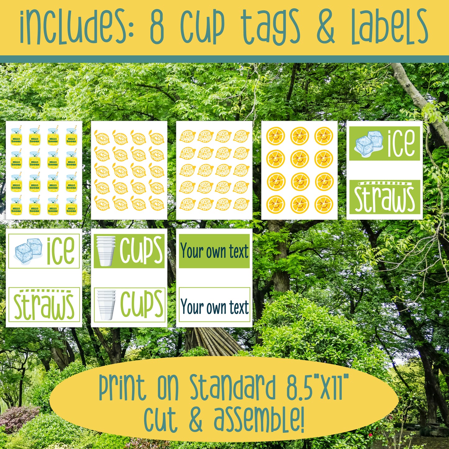 Lemonade Stand Dramatic Play Bundle, Printable Summer Learning Center, Editable Price Lists, Banners and Classroom Decor