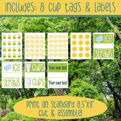 Lemonade Stand Dramatic Play Bundle, Printable Summer Learning Center, Editable Price Lists, Banners and Classroom Decor