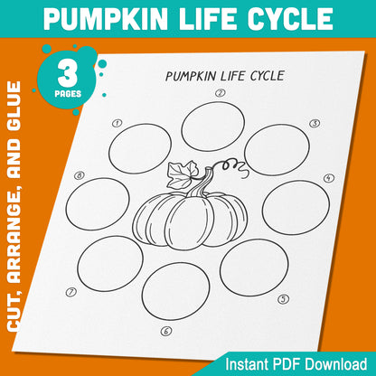 Pumpkin Life Cycle Learning Activity: Cut, Arrange, and Glue the 8 Stages of Plant Growth for Fun Hands-On Learning, 3 Printable Pages, Instant PDF Download