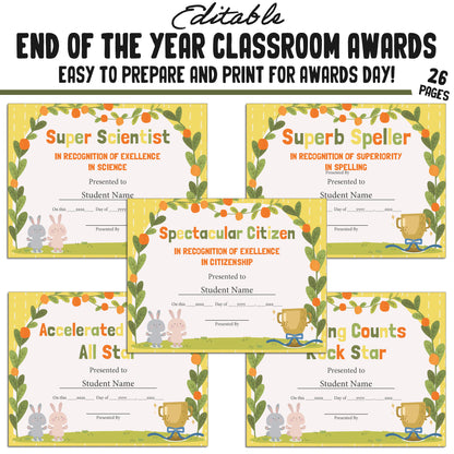 Editable End of Year Awards Certificates, 26 Pages, PDF, Instant Download – Perfect for Classroom and Student Achievements