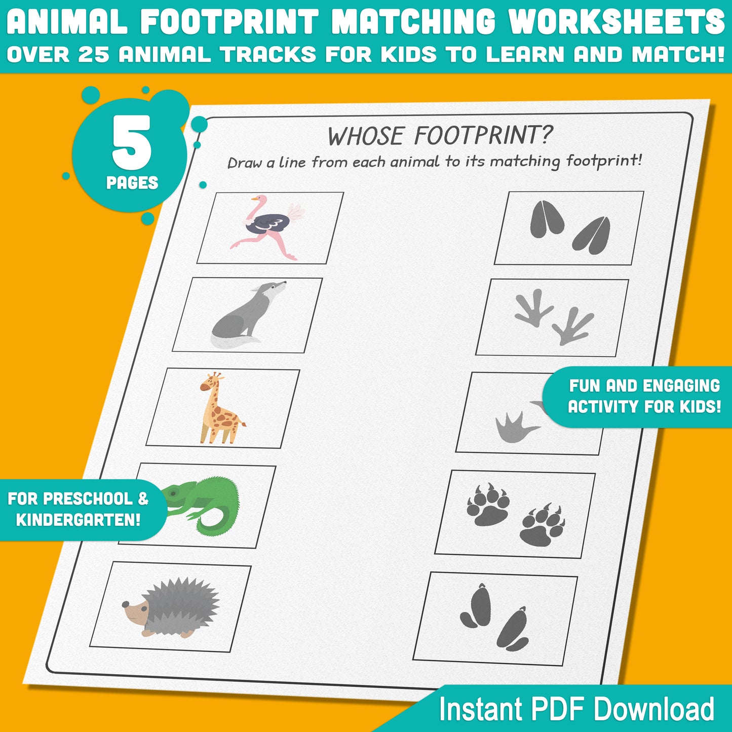 Animal Footprint Matching Fun: 5 Worksheets with 25+ Tracks for Kids to Learn and Match, Instant PDF File Download