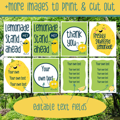 Lemonade Stand Dramatic Play Bundle, Printable Summer Learning Center, Editable Price Lists, Banners and Classroom Decor