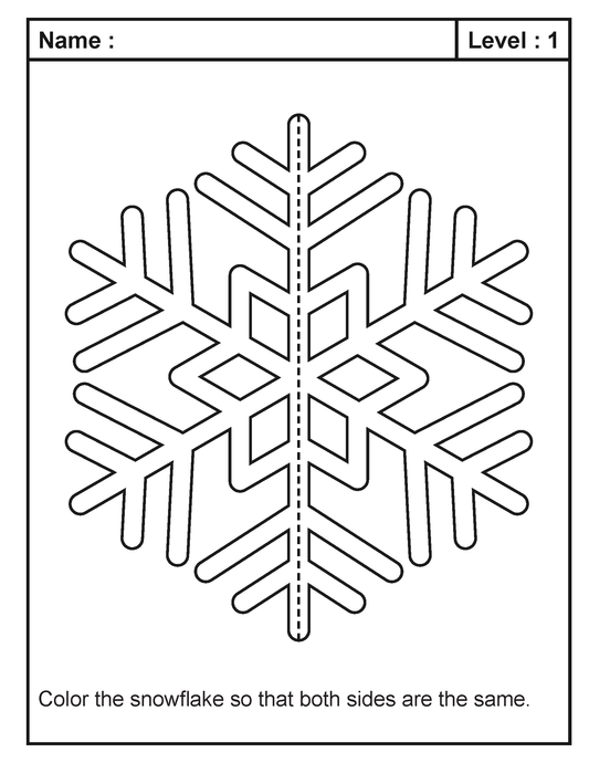 Free! Snowflake Symmetry Activity