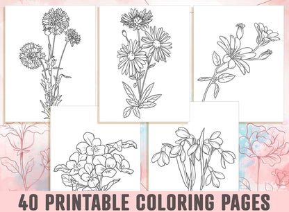 Floral Coloring Pages - 40 Beautiful Floral and Flower Coloring Pages for Adults, Kids, Boys, Girls, and Teens, Instant Download