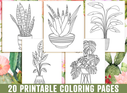 Houseplant Coloring Pages, 20 Printable Adorable Succulent, Cactus, Houseplant Coloring Pages, Indoor Plant Coloring Book, Instant Download