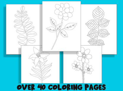 Flowers Leaves Coloring Book, 40 Printable Coloring Pages for Kids a fun way for kids of all ages to develop creativity, focus, motor skills