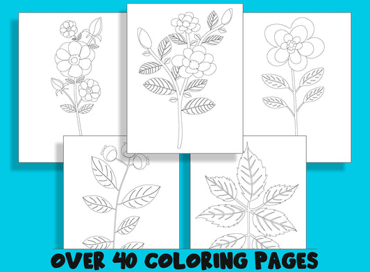 Flowers Leaves Coloring Book, 40 Printable Coloring Pages for Kids a fun way for kids of all ages to develop creativity, focus, motor skills