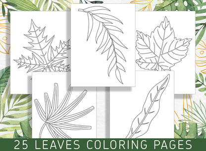 Escape to Nature: 25 Exquisite Leaf Coloring Pages for Stress Relief and Relaxation, PDF File, Instant Download