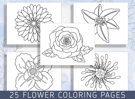 Beautiful Blooms: 25 Floral Coloring Pages for Relaxation and Creativity, PDF File, Instant Download