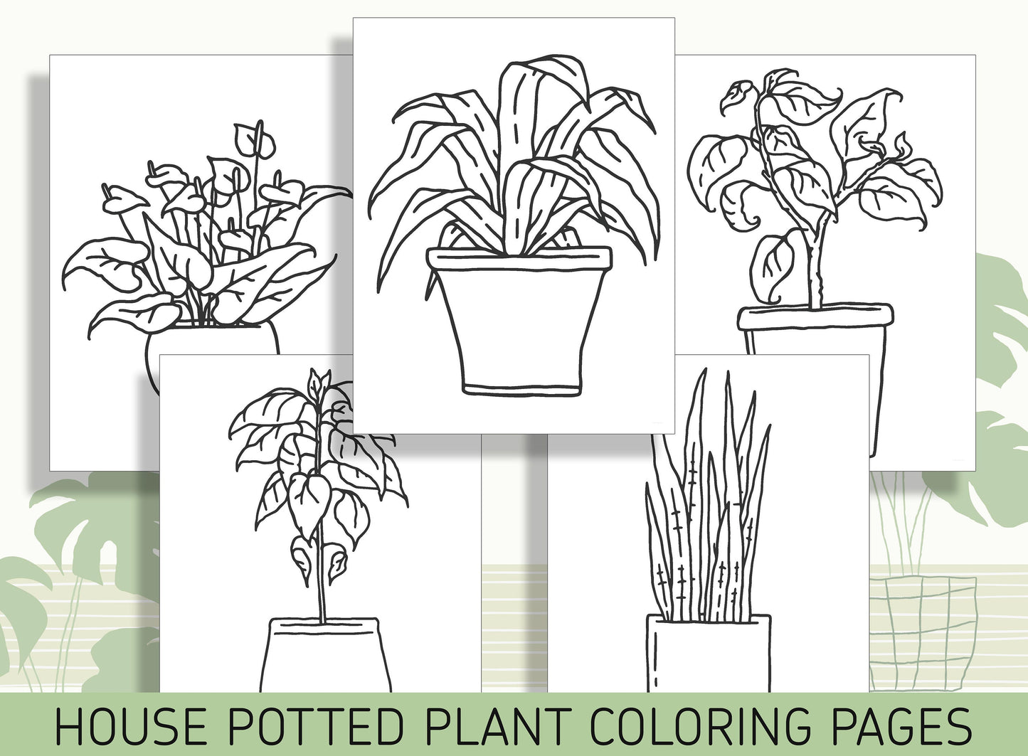 15 Beautiful House Potted Plants Coloring Pages: Bring Nature Indoors, PDF File, Instant Download