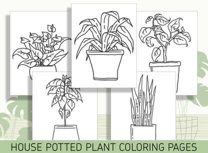 15 Beautiful House Potted Plants Coloring Pages: Bring Nature Indoors, PDF File, Instant Download