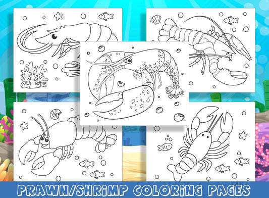 Ocean Delights: Prawn and Shrimp Coloring Adventures - 15 Pages of Fun for Preschool and Kindergarten, PDF File, Instant Download