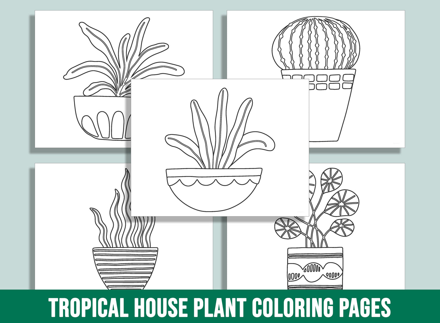 30 Tropical House Plant Coloring Pages: A Botanical Paradise to Color, PDF File, Instant Download